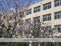 中学校　横堤中学校（中学校）まで401m