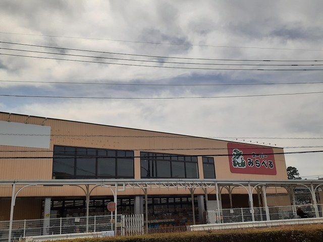 スーパー　スーパーみらべる東川口店（スーパー）まで382m