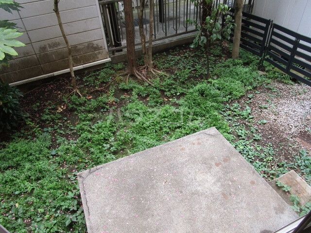 庭