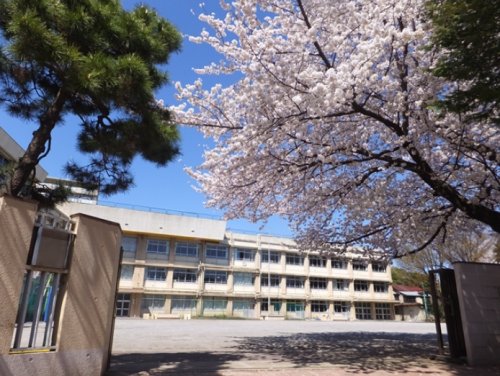 小学校　板橋第八小学校（小学校）まで426m