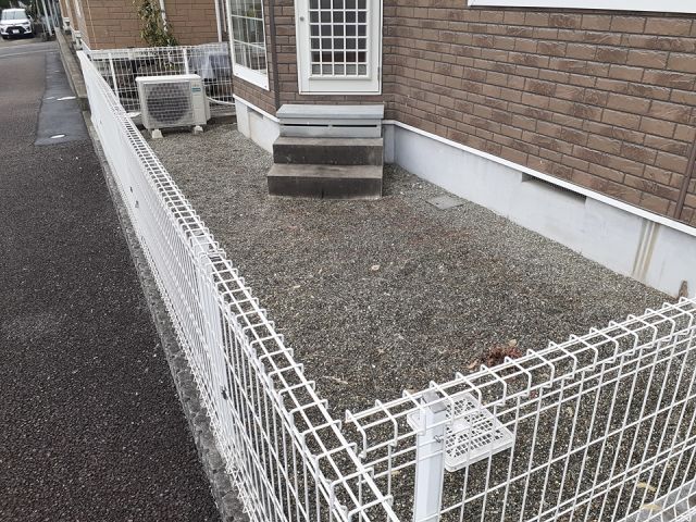 庭
