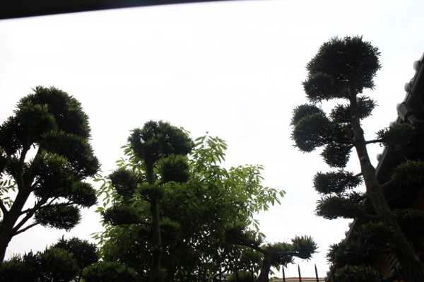 眺望