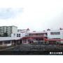 幼稚園・保育園　藤の台幼稚園（幼稚園・保育園）まで95m
