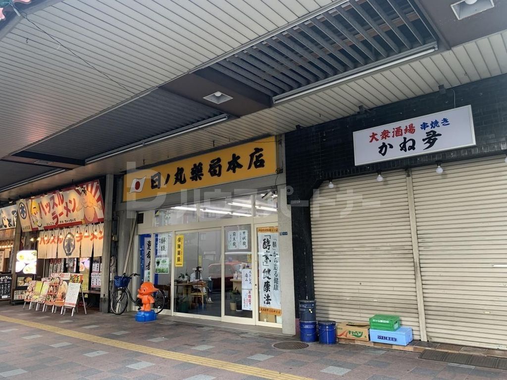 ドラックストア　日ノ丸薬局本店（ドラッグストア）まで520m