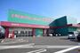 ドラックストア　コスモスにれの木店（ドラッグストア）まで450m