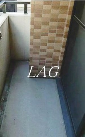 バルコニー　バルコニーです。