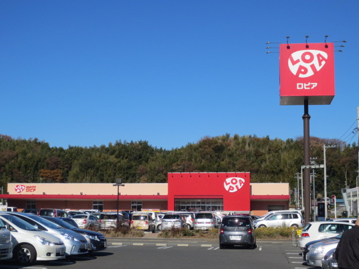 スーパー　ロピア（スーパー）まで810m