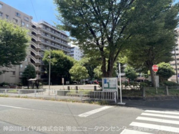 公園　新横浜第一公園（公園）まで166m