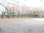 公園　小台公園（公園）まで515m
