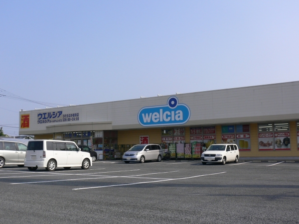 その他　ウェルシアひたちなか佐和店（その他）まで833m
