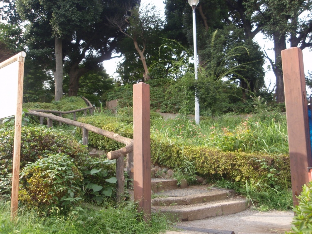 公園　関口台公園（公園）まで379m