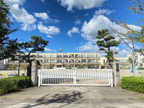 小学校　岩倉南小学校（小学校）まで313m