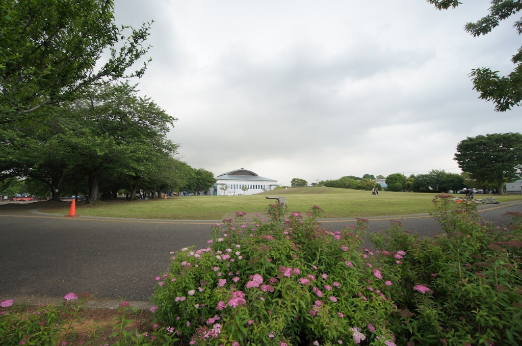 公園　寒川中央公園（公園）まで1319m