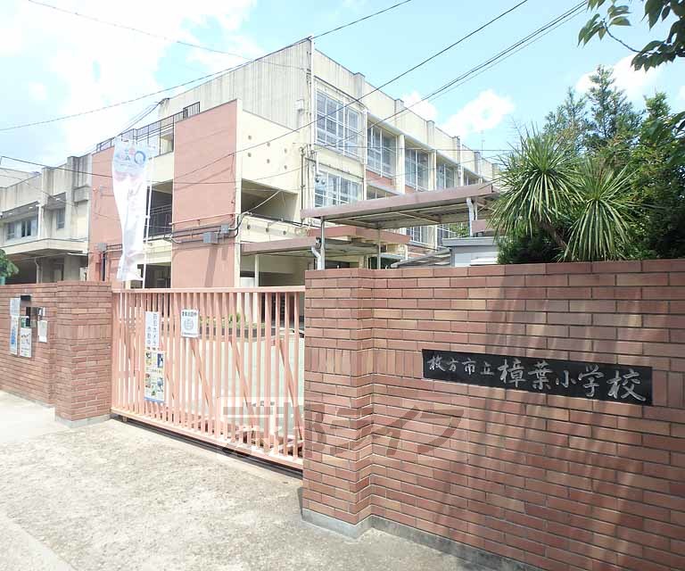 小学校　枚方市立樟葉小学校（小学校）まで474m