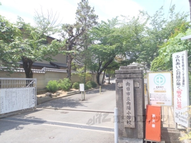 小学校　向陽小学校（小学校）まで600m