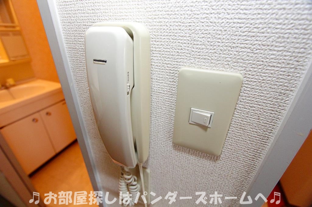 シャルム谷のその他写真