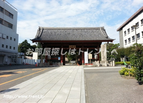 その他　大本山護国寺（その他）まで550m