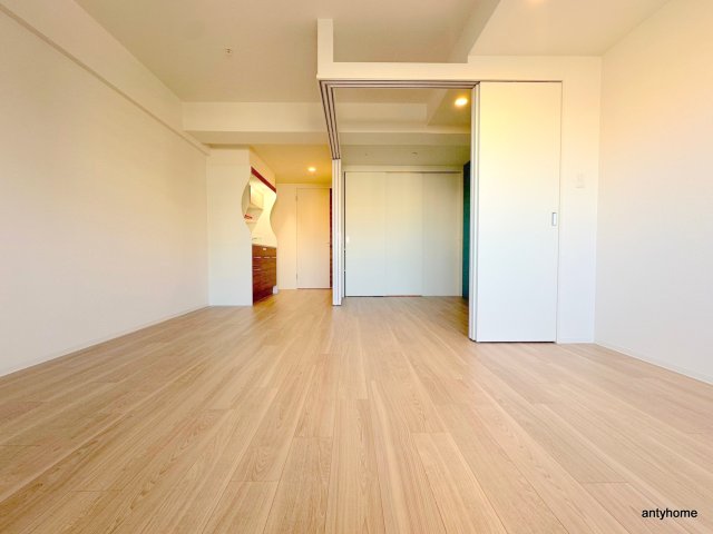 セレニテ本町東リアンの居間写真