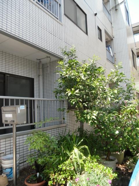 ＪＲ総武線快速 新小岩駅 徒歩12分 4階建 築37年の内装写真