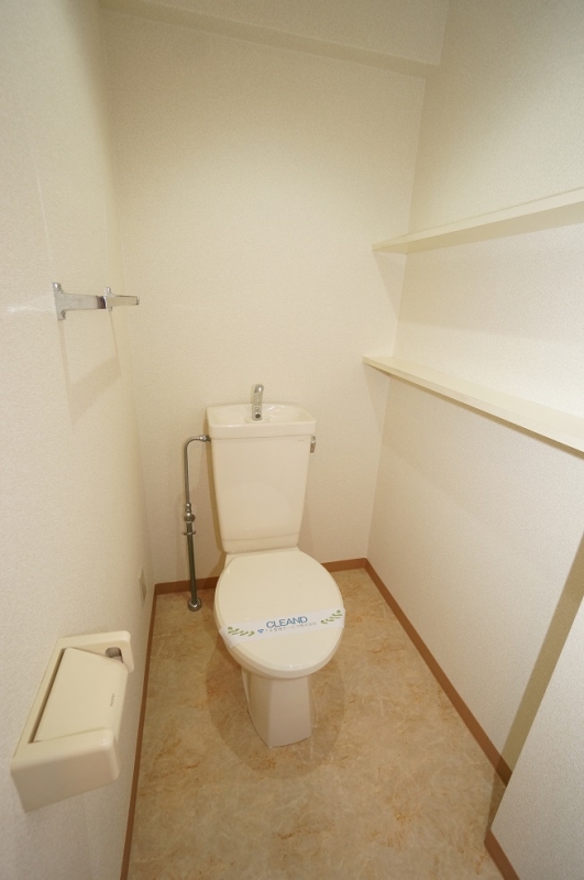 ハイクレスト喜沢南マンションのトイレ写真