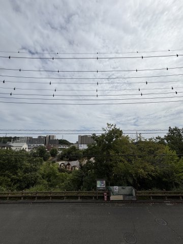 眺望　バルコニーからの眺望は目の前が小山白山公園で眺望良好です♪