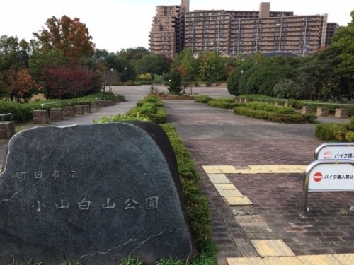 公園　小山白山公園（公園）まで252m