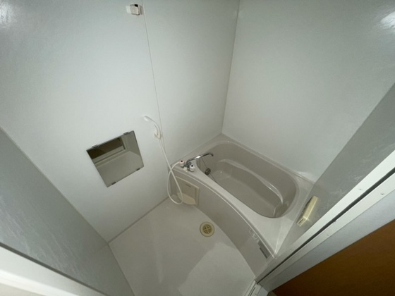 バス・シャワールーム　※別部屋の写真です