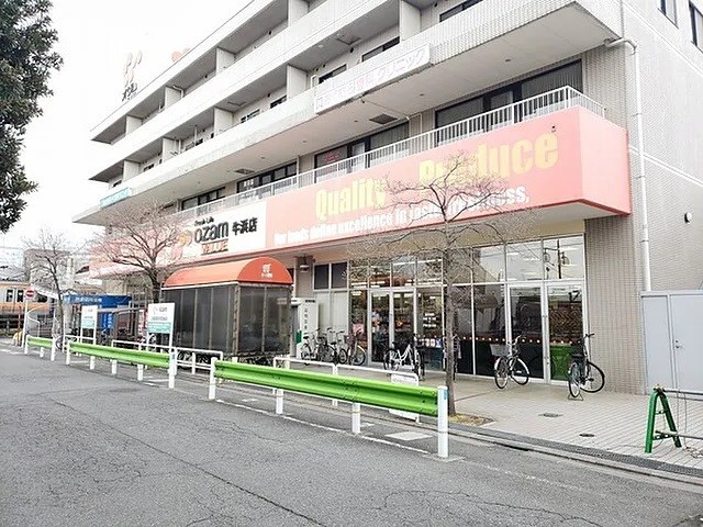 ヤマカビルの周辺写真