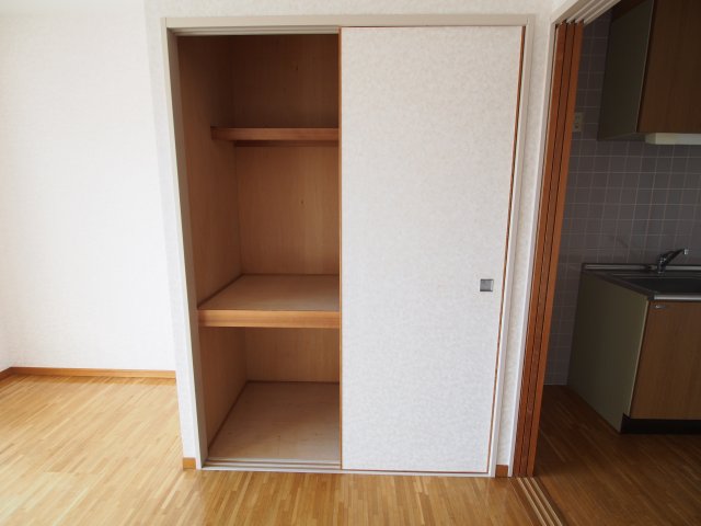 収納　参考写真　同物件同間取りのお部屋の写真です
