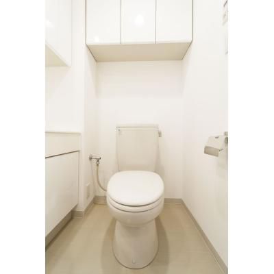 都営三田線 芝公園駅 徒歩8分 12階建 築22年のトイレ写真