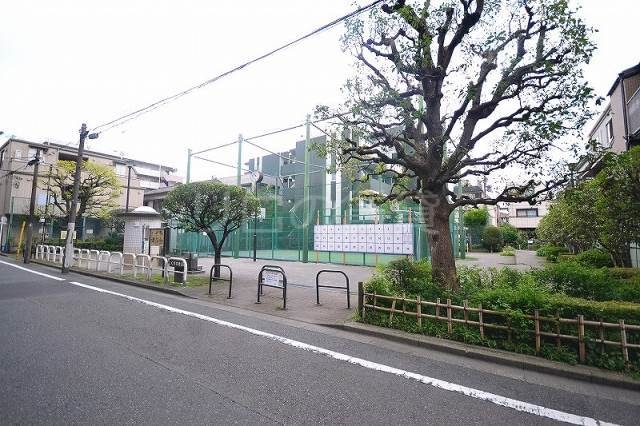 公園　南ニくすのき公園（公園）まで338m