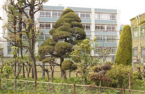 中学校　私立成女学園中学校（中学校）まで560m