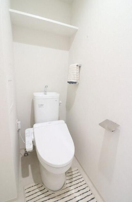 都営大江戸線 門前仲町駅 徒歩9分 12階建 築7年のトイレ写真