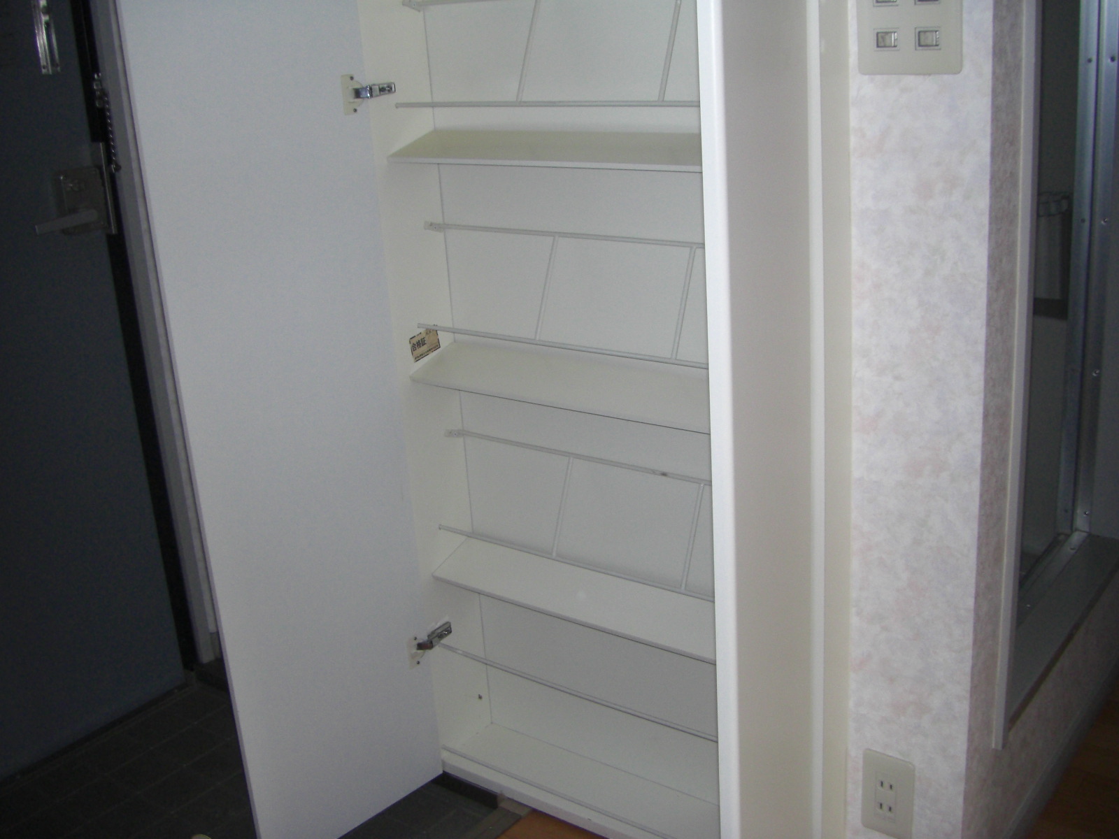 玄関　靴箱も広々、１人暮らしなら十分収納