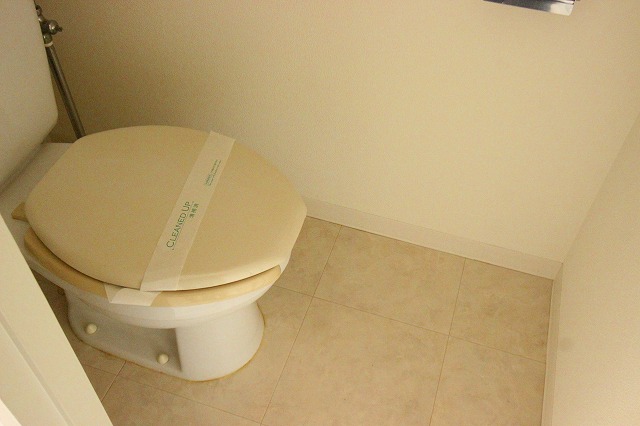 トイレ　同物件、別号室の写真です