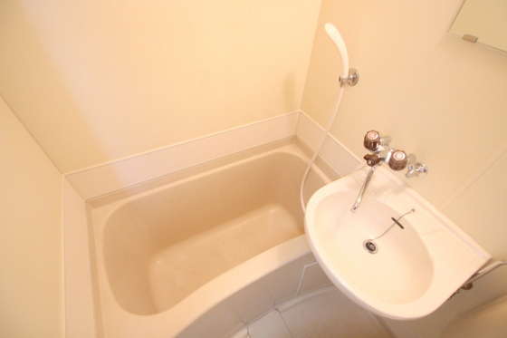 バス・シャワールーム　※別部屋の写真です