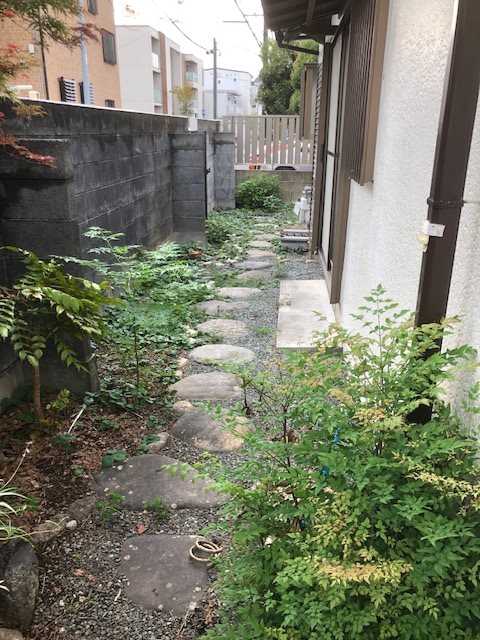 庭