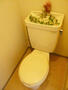 トイレ　清潔感のあるトイレです。