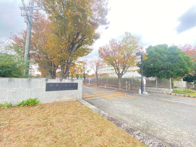 大学・短大　兵庫県立大学明石看護キャンパス（大学・短大）まで875m