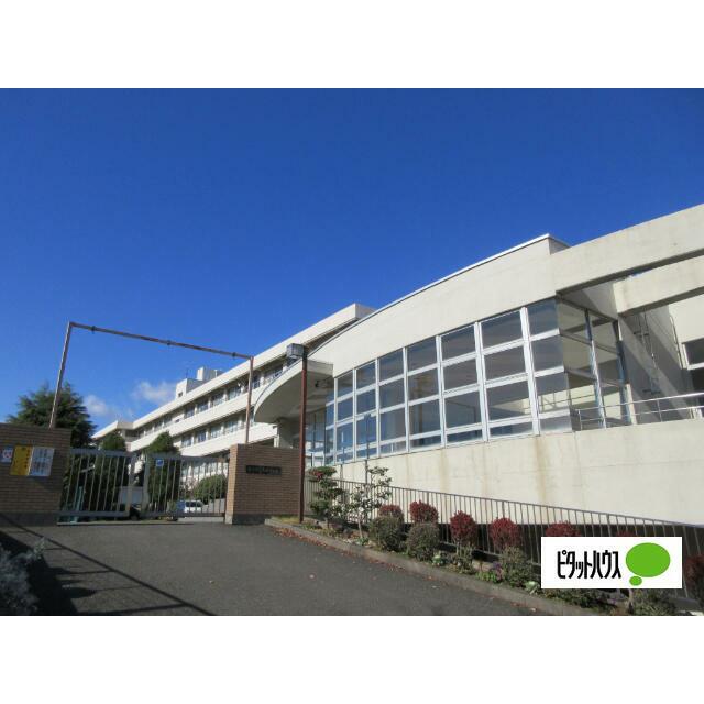 中学校　秦野市立大根中学校（中学校）まで671m