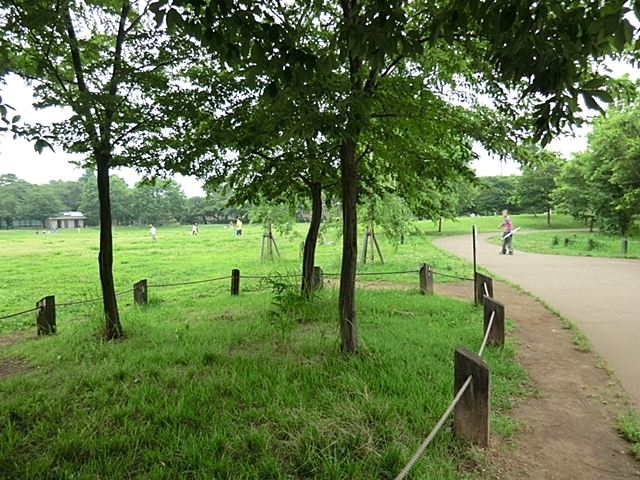 公園　柏の宮公園（公園）まで203m