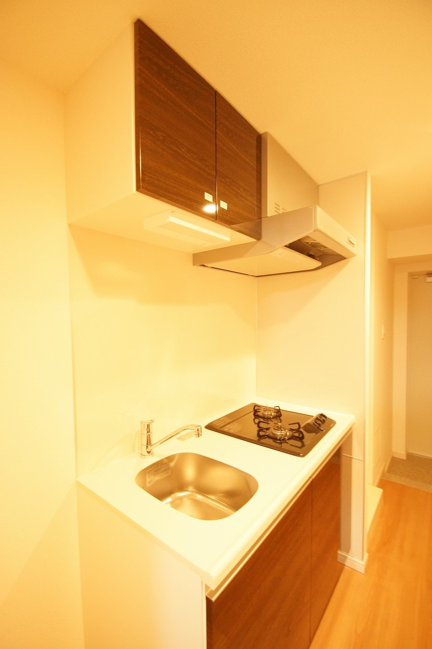 キッチン　料理が好きな方におすすめの「２口ガスシステムキッチン」