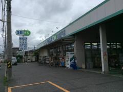 ドラックストア　ドラッグセイムス北松戸店（ドラッグストア）まで326m