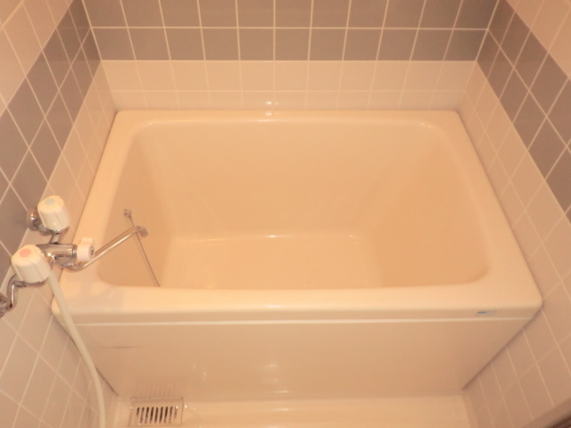 バス・シャワールーム　バスタブです
