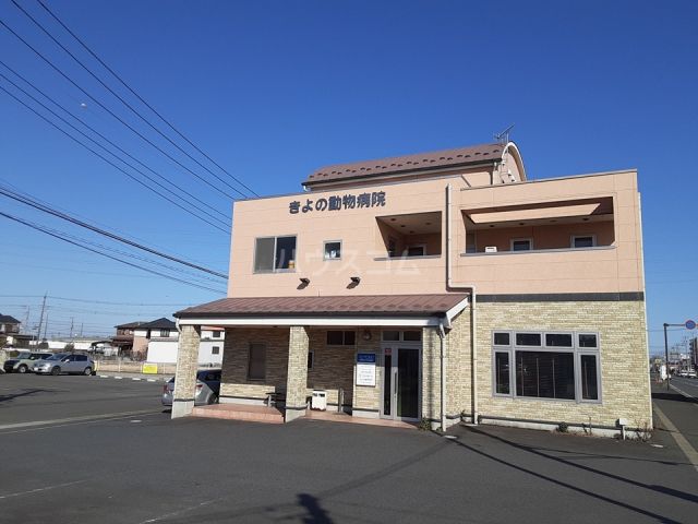 病院　きよの動物病院（病院）まで443m