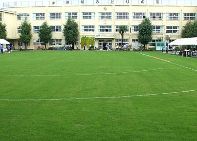 小学校　中野区立啓明小学校（小学校）まで754m