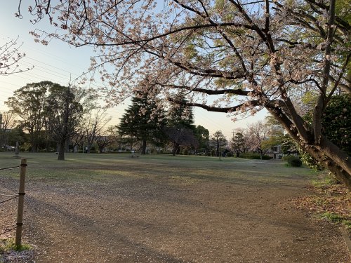 公園　桐原公園（公園）まで483m