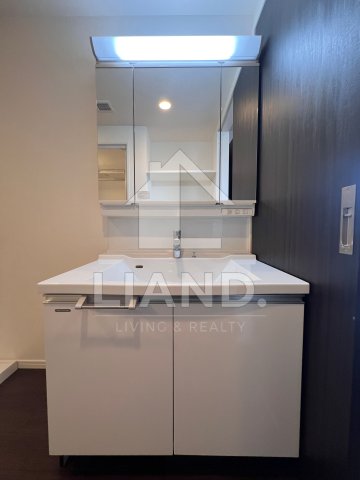 洗面設備　RJRプレシア天神サウス