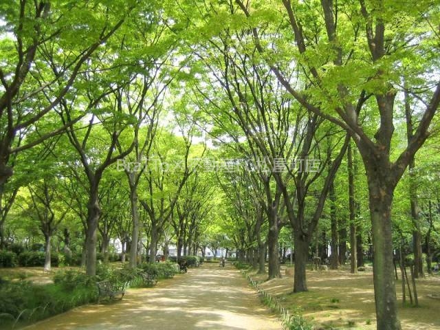 公園　靱公園（公園）まで198m