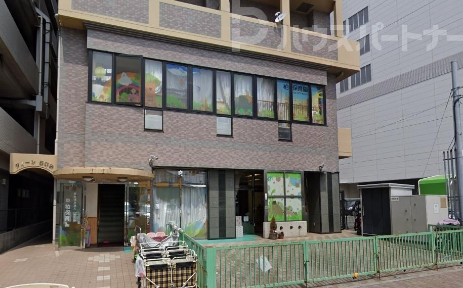 幼稚園・保育園　柏保育園（幼稚園・保育園）まで600m